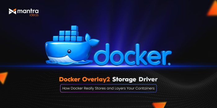 WhatsApp Image 2026-02-03 at 4.13.01 PM